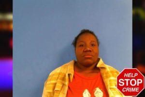 Quanesha Bruce mugshot