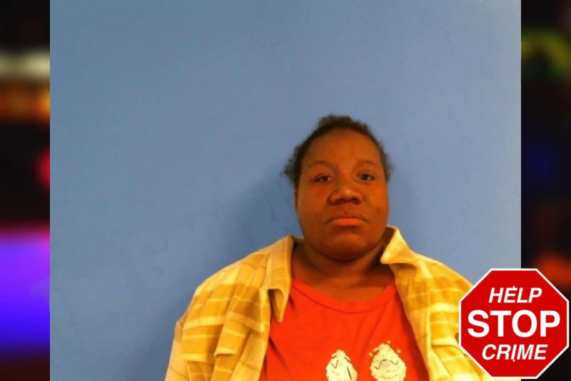 Quanesha Bruce mugshot