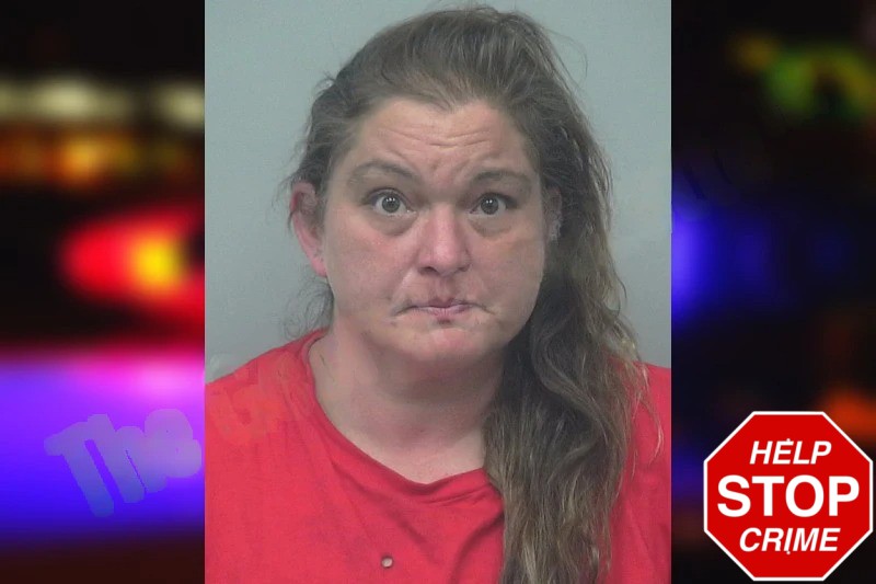 Rabiye Gaylor Mugshots