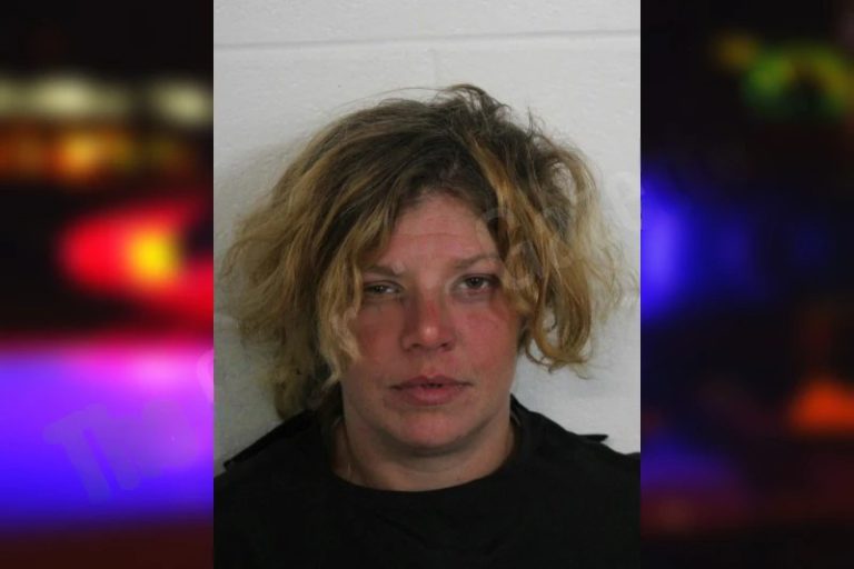 Rachel Garrett mugshot – Floyd County , Georgia Rachel Garrett