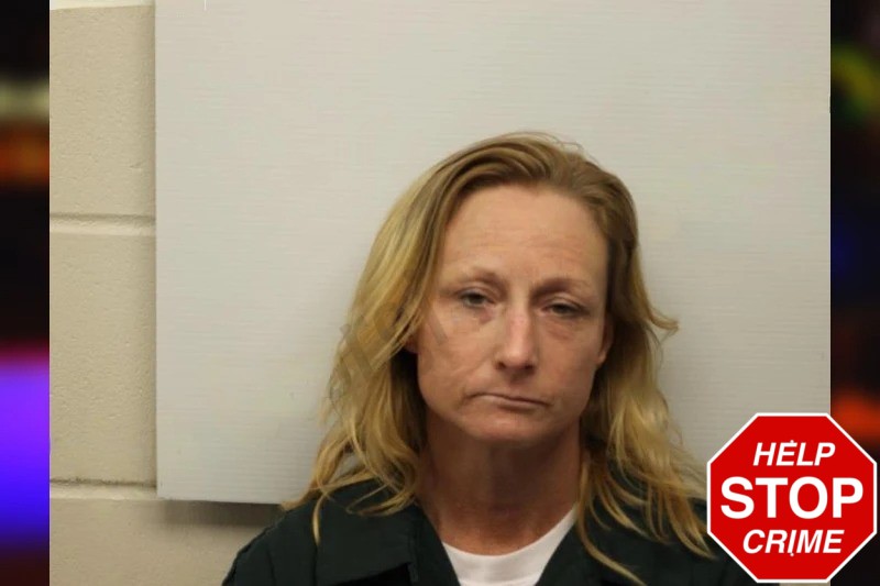 Rachel Lang Mugshots