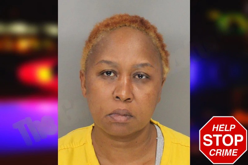 Rachel Michuki Mugshots