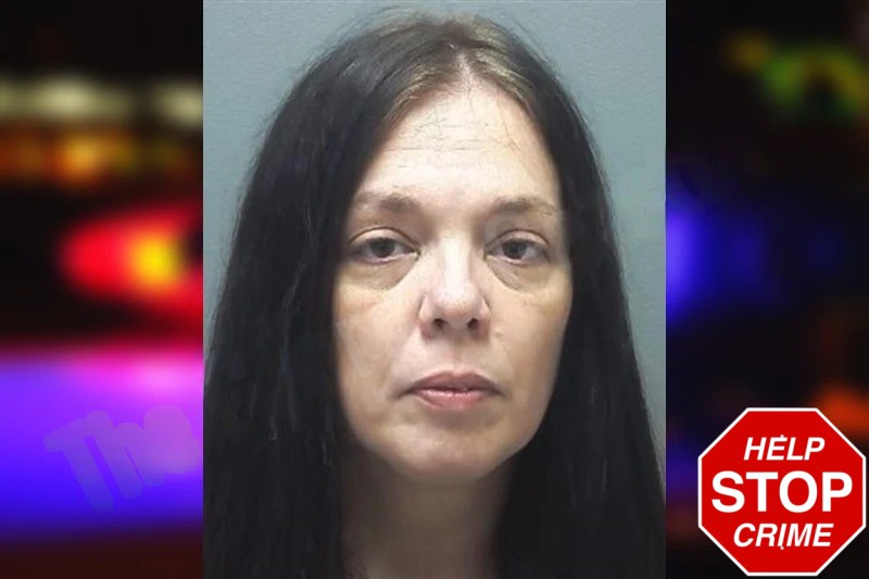 Rachel Shores Mugshots