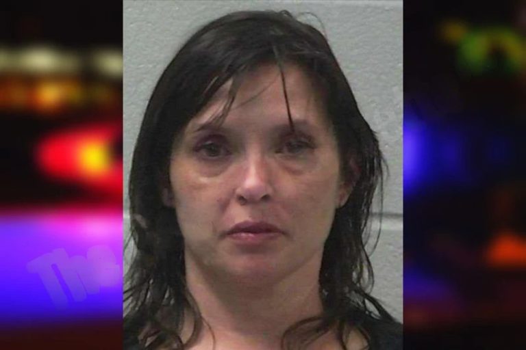 Rachel Smith mugshot – Gilmer County , Georgia Rachel Smith