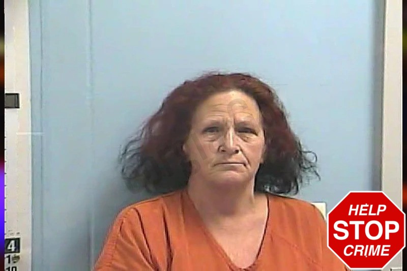 Ramona Sanders Mugshots