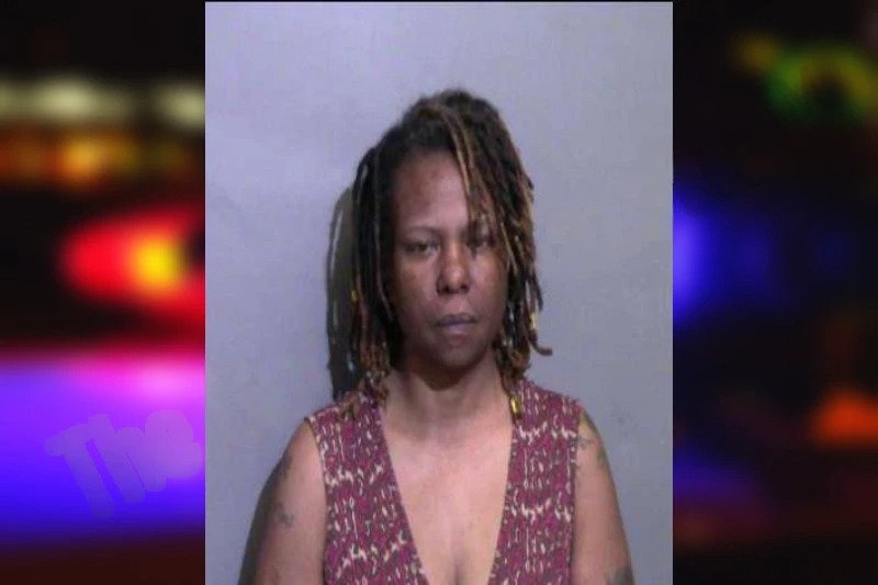 Ramona Vann Mugshots