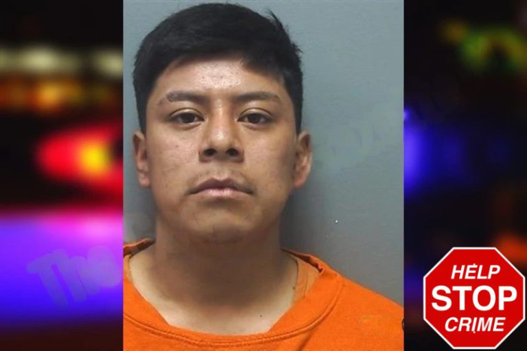 Randi Tuctuc Garcia mugshot – Cherokee County , Georgia Randi Tuctuc Garcia