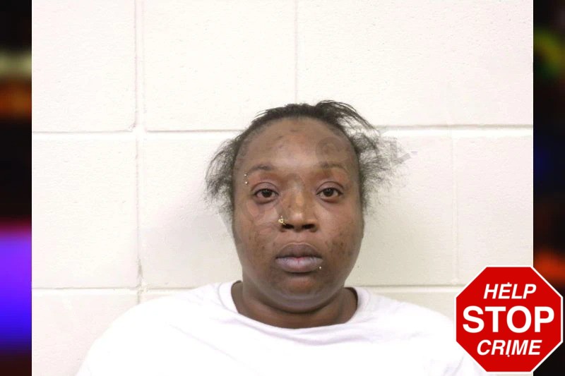 Rashae Norris Mugshots