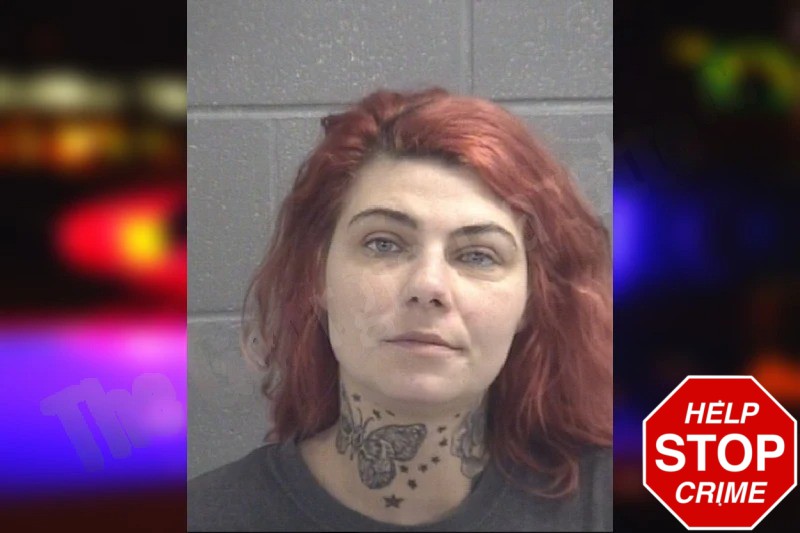 Raychel Allen Mugshots