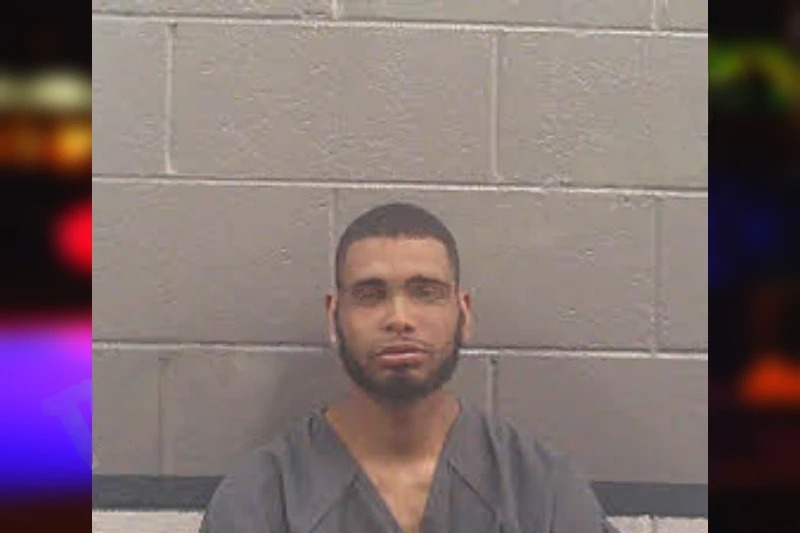 Raymonta Collins Mugshots