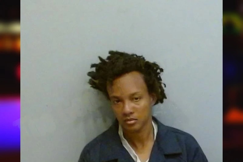 Raynese Adams Mugshots