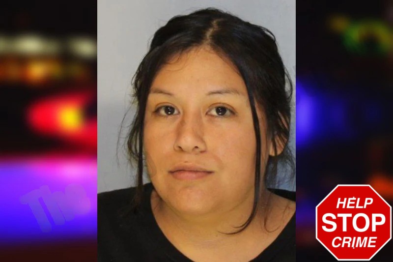 Rebeca Chavez mugshot