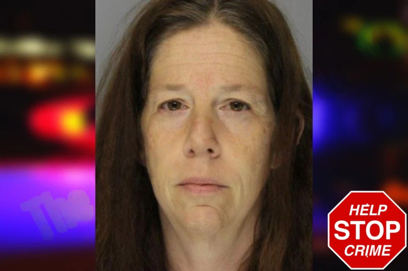 Rebecca Bitterman Mugshots