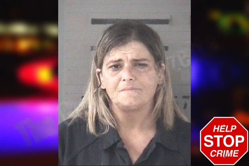 Rebecca Bryan Mugshots