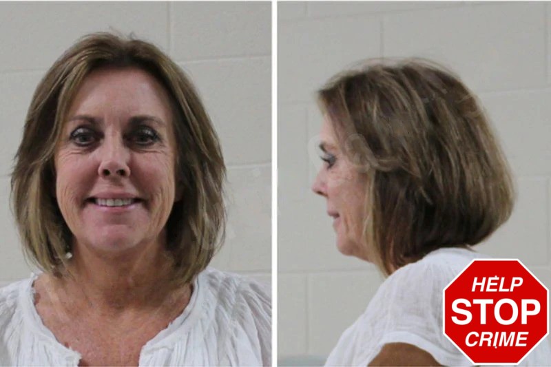 Rebecca Johnson Mugshots