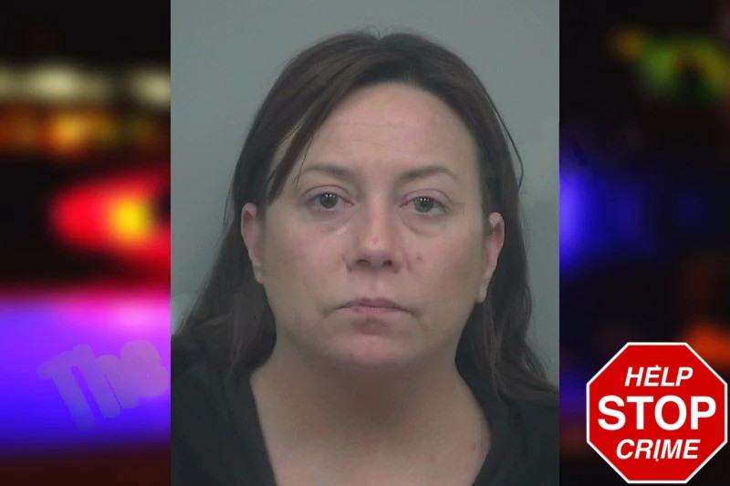 Rebecca Lee Hew Mugshots