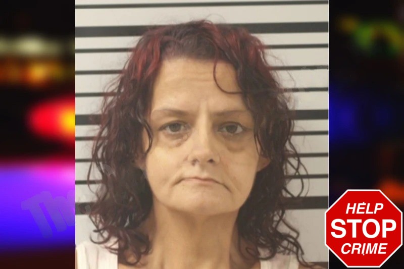 Rebecca McKinley Mugshots