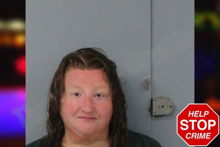 Rebecca Oneal mugshot – Mcintosh County , Georgia Rebecca Oneal