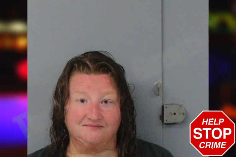 Rebecca Oneal mugshot – Mcintosh County , Georgia Rebecca Oneal mugshot