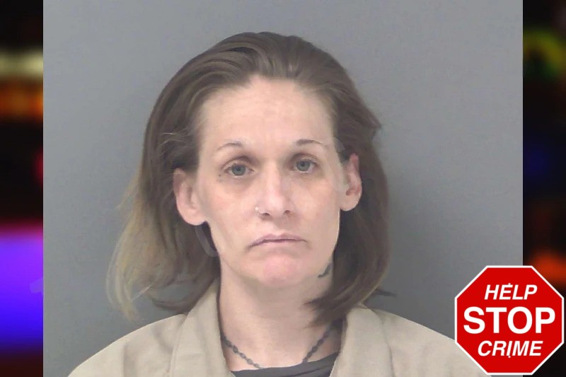 Reina Mabry Mugshots