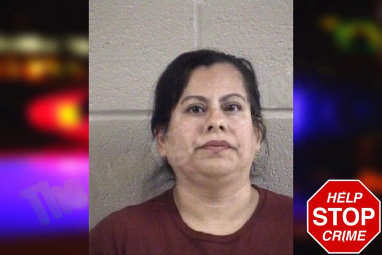 Remedios Mendoza-Zurita