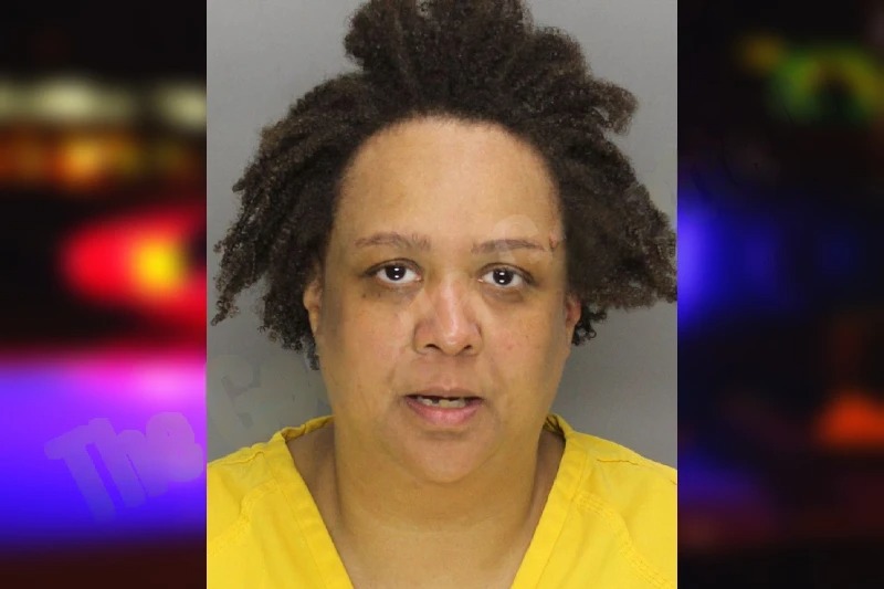 Renae Jenkins Mugshots