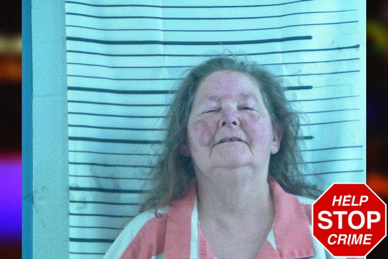 Renee Bragg Mugshots