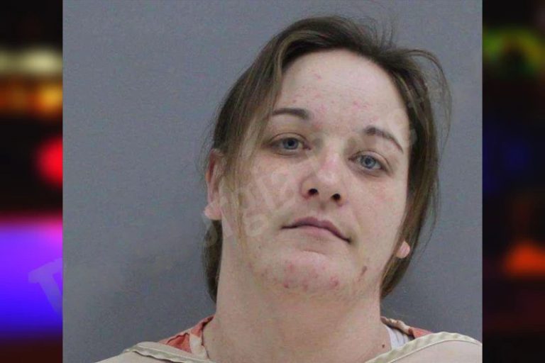 Renee Gosnell mugshot – Rabun County , Georgia Renee Gosnell