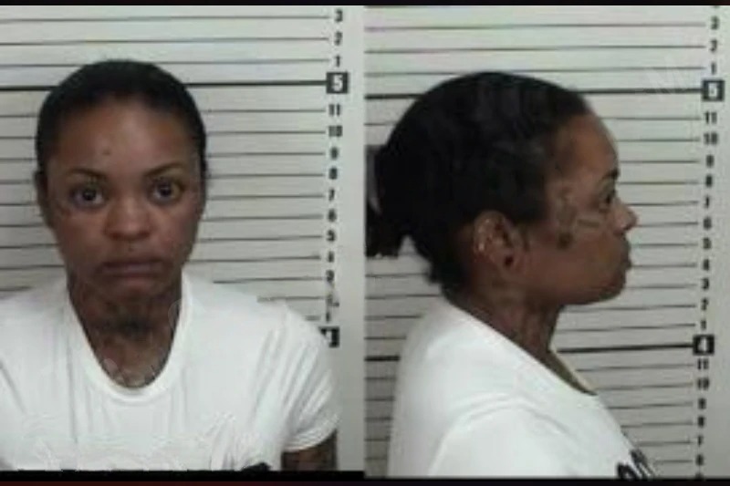 Renee McLacklan Mugshots