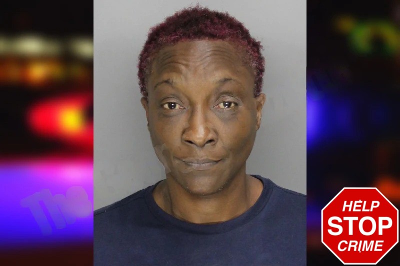 Rhiannon Allen Mugshots