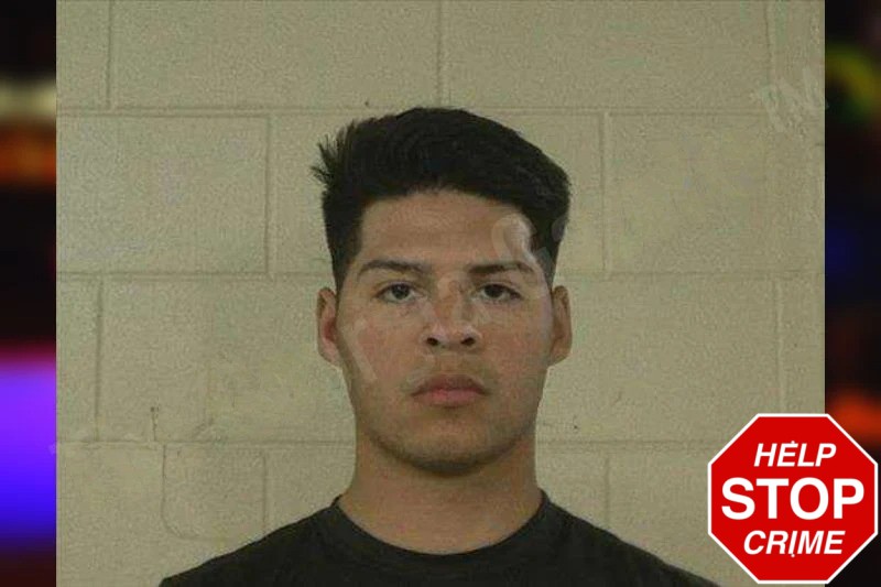 Ricardo Flores Mugshots