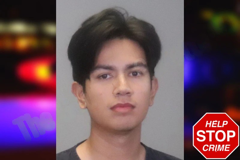 Ricardo Pedrozo Mugshots