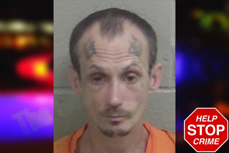 Ricky Daniels mugshot – Wayne County , Georgia Ricky Daniels mugshot