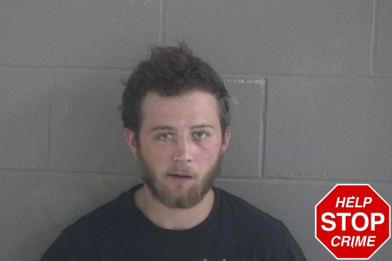 Robert Johns Mugshots