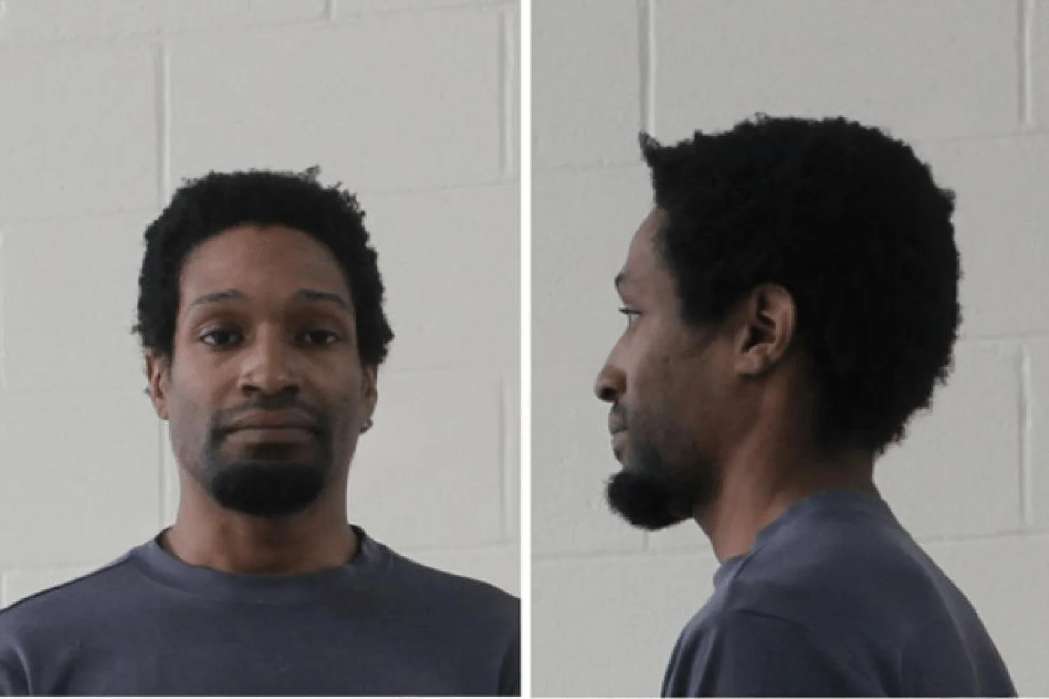 Robert Johnson Mugshots