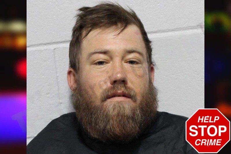 Robert Marlowe Mugshots