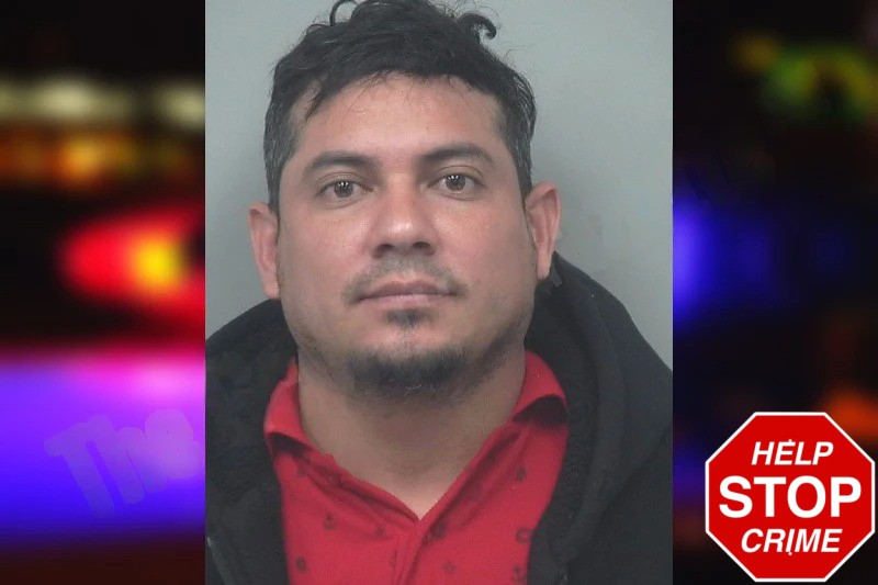 Robert Romero Mugshots