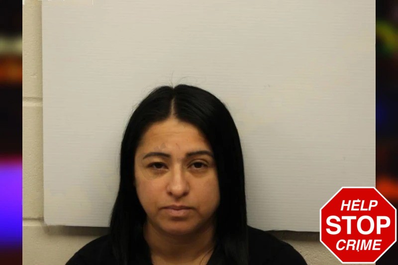 Roberta Hernandez-Mendez mugshot – Chatham County , Georgia Roberta Hernandez-Mendez mugshot