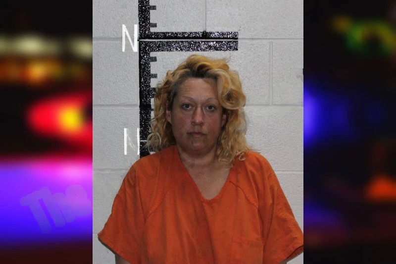 Robin Howard mugshot – Murray County , Georgia Robin Howard mugshot