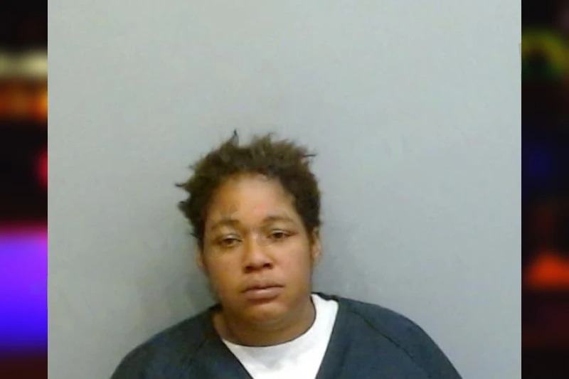 Robyn Fountain mugshot