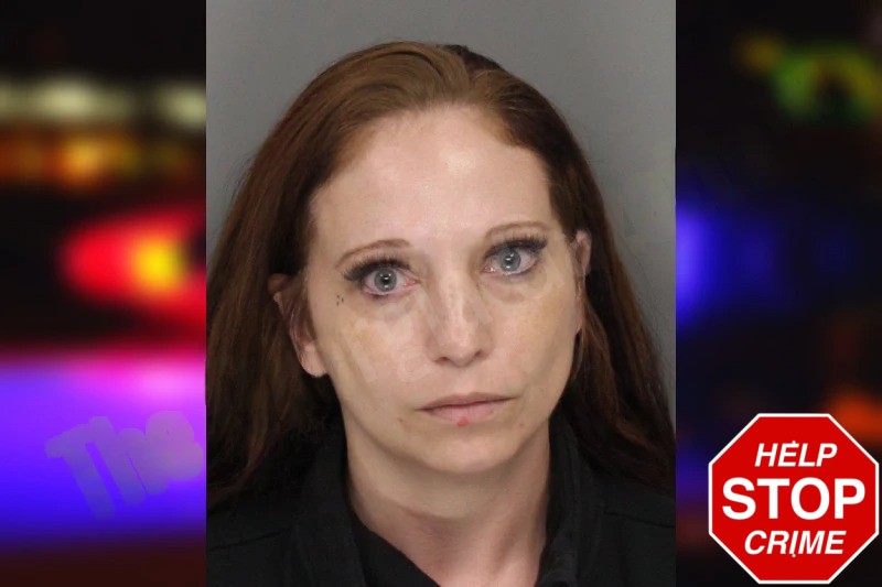 Robyn Harrison Mugshots