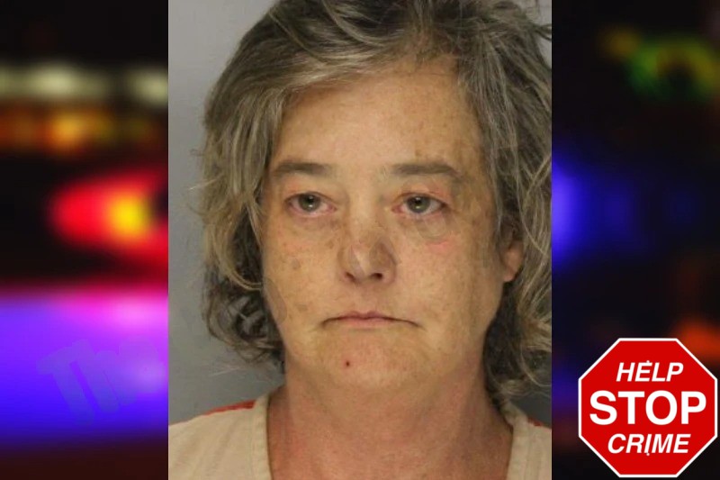 Robyn Schaefer mugshot – Hall County , Georgia Robyn Schaefer mugshot