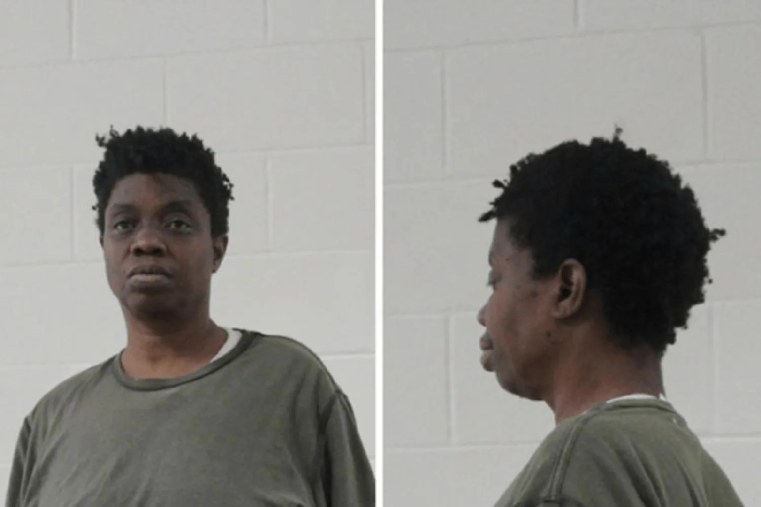 Rochelle Hicks Mugshots