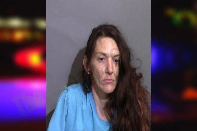 Rochelle Ray Mugshots