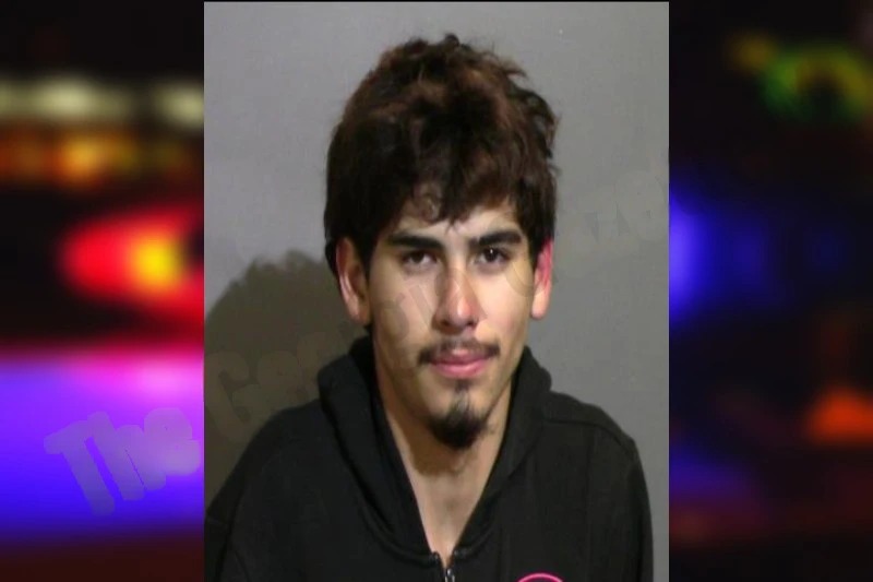 Rogelio Fernandez Mugshots