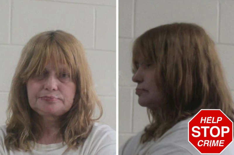 Ronda Rainwater Mugshots