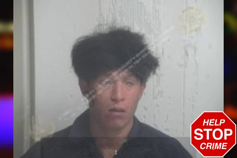 Roni Segura Mugshots