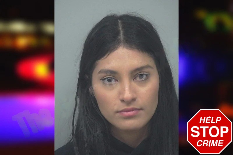 Rosa Arreguin Mugshots