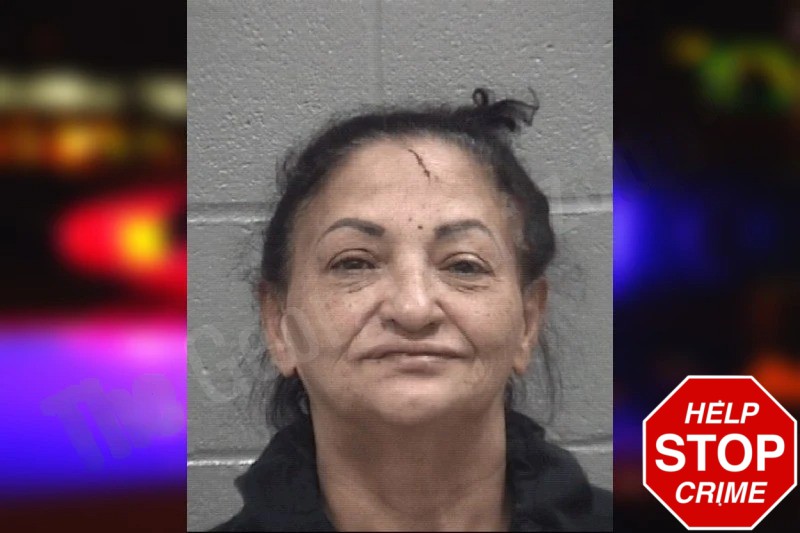 Rosanna Pujols mugshot – Columbia County , Georgia Rosanna Pujols mugshot