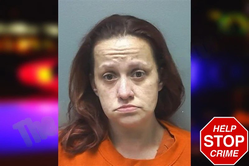 Roxi Bailes Mugshots